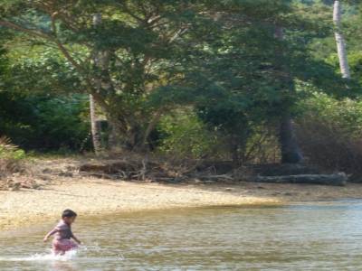 petit pecheur sur l'ile aux lapins