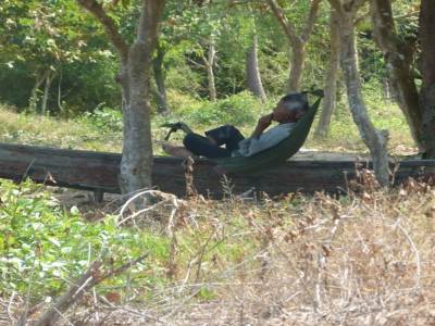 vieux pecheur sur l'ile aux lapins