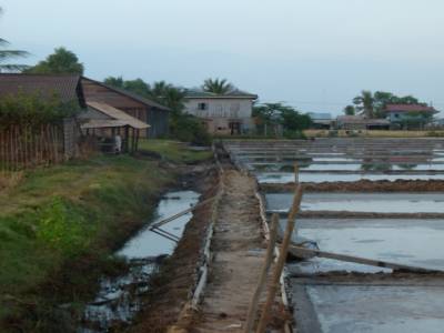 marais salants