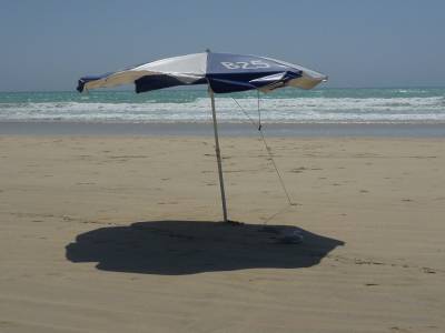 Il fait tellement chaud à Broome que même les goélands cherche de l'ombre!