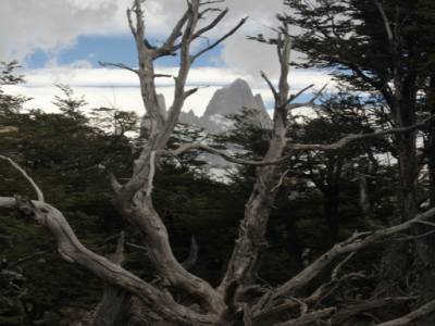 Fitz Roy