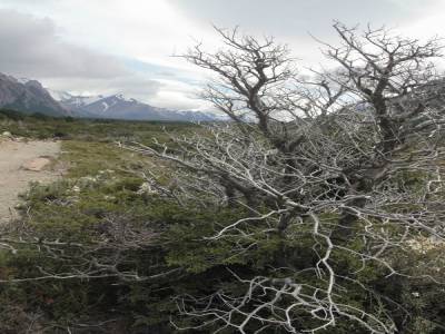 La Patagonia que esperaba