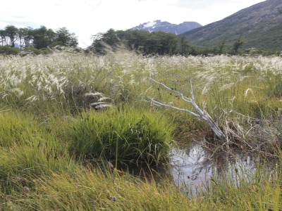 La Patagonia que esperaba