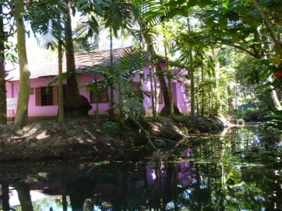 maisons aux milieux des backwaters