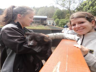 Rencontre avec le diable