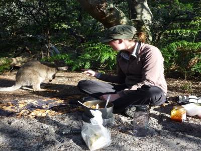 Le wallabie qui voulait nous voler notre souper!