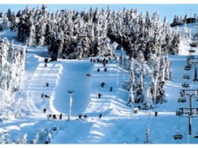 La piste