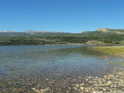 Parc National Los Alerces 5