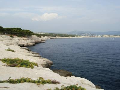CassisCassis