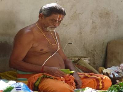 Brahmane