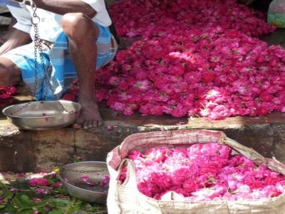 Marche aux fleurs 