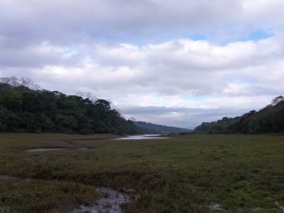 Reserve de Periyar