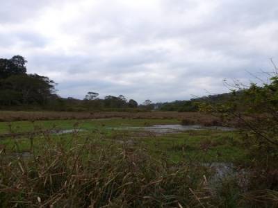 Reserve de Periyar