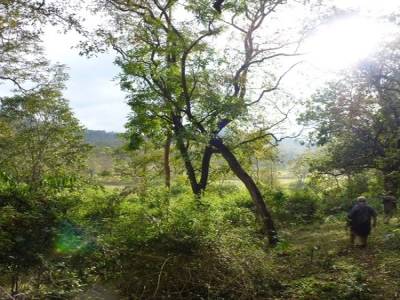 Reserve de Periyar