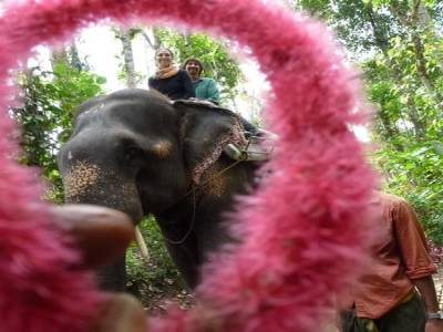 Ballade en elephant