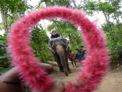 Ballade en elephant