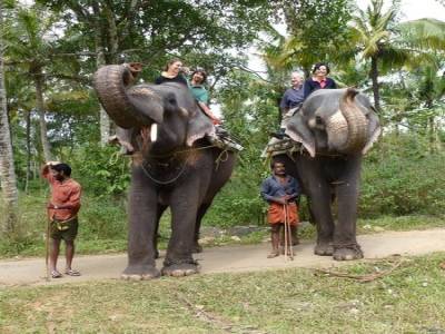 Ballade en elephant