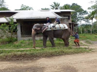Ballade en elephant