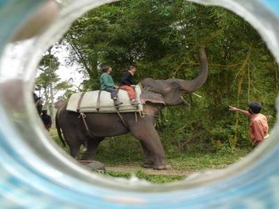 Ballade en elephant