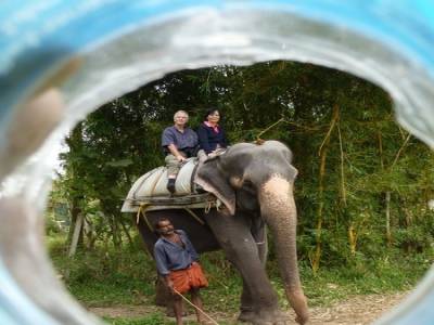 Ballade en elephant