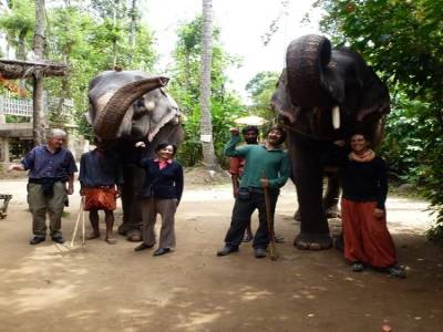 Ballade en elephant
