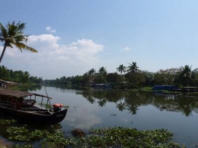 Back waters