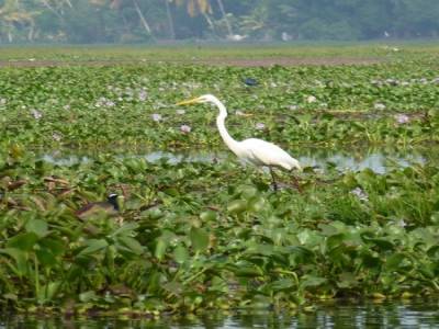 Back waters