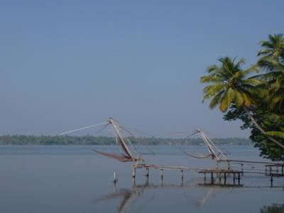 Chinese nets
