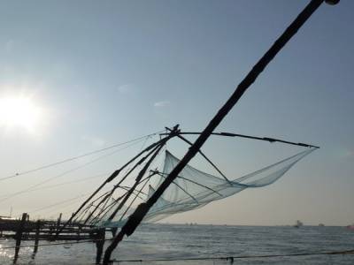 Chinese nets
