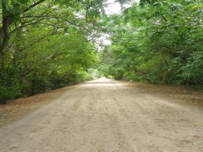 Reserva Ecologica