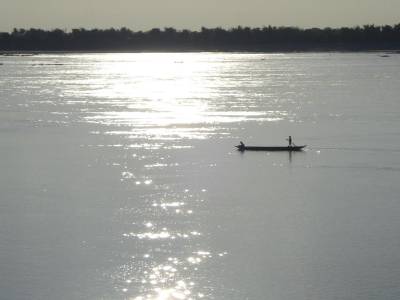 C est la qu on a vu les dauphins d eau douce...
