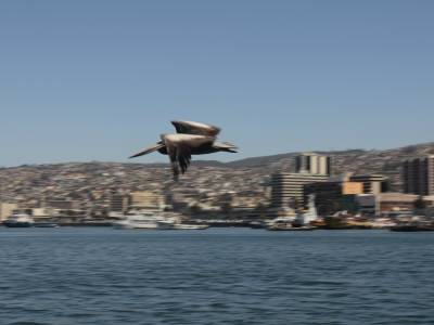 Valparaiso