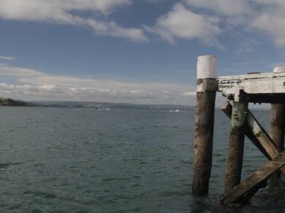 Auckland bay
