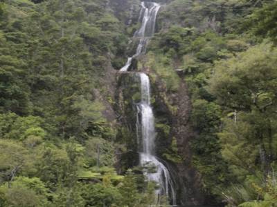 Waitakere regional park