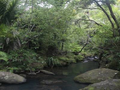 Waitakere regional park