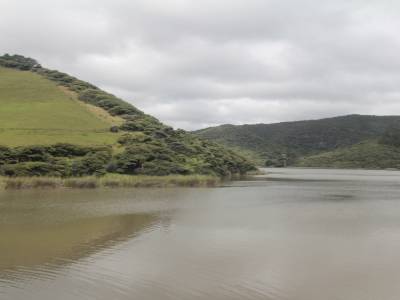Waitakere regional park