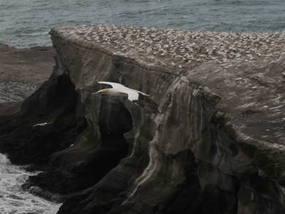 Waitakere regional park