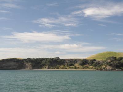 Auckland bay