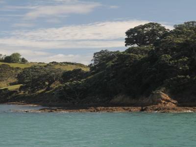 Auckland bay