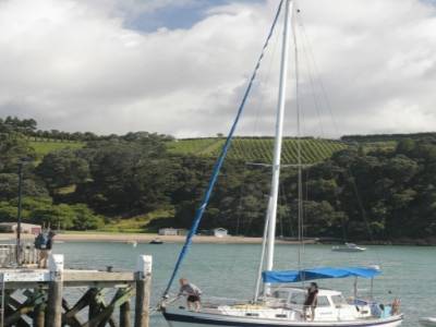 Auckland bay