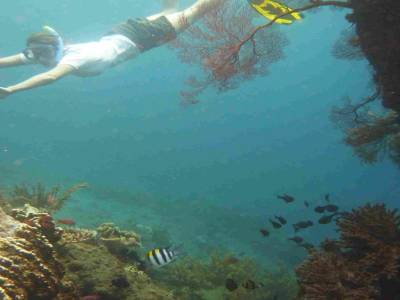 Snorkeling sur l'épave d'un bateau japonais