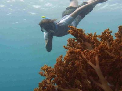Snorkeling sur l'épave d'un bateau japonais (2)