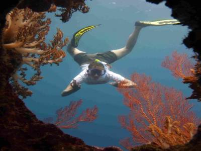 Snorkeling sur l'épave d'un bateau japonais (5)