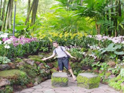 Le splendide jardin des orchidées