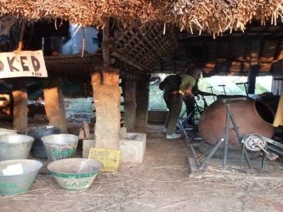 Sadanah Forest - Projet de reforestation