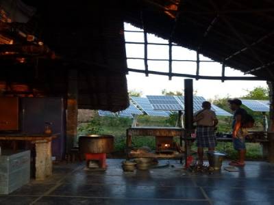 Sadanah Forest - Projet de reforestation