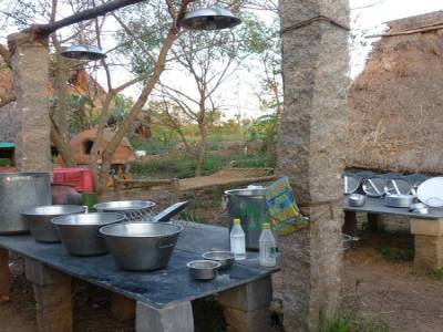 Sadanah Forest - Projet de reforestation