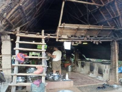 Sadanah Forest - Projet de reforestation
