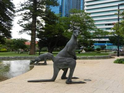 Kangaroo !!