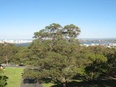 Kings Park